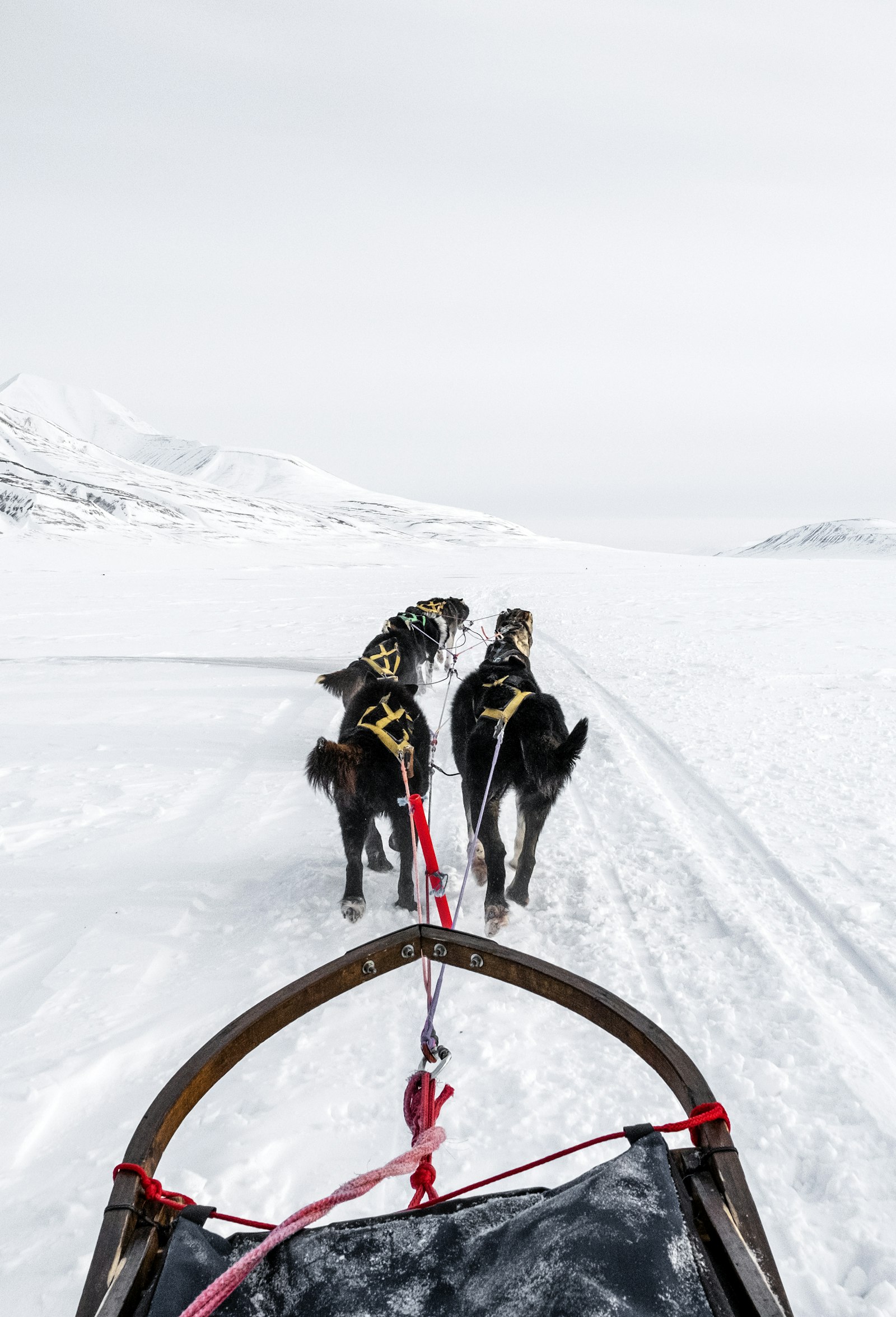 A sled crossing a vast snowfield toward mountains